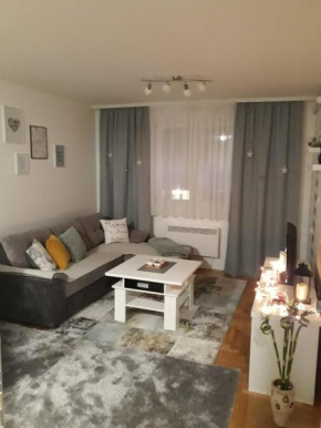 Apartman “4. Jun”, Pale